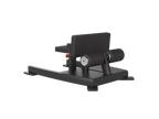 Sissy Squat / Sit-Up