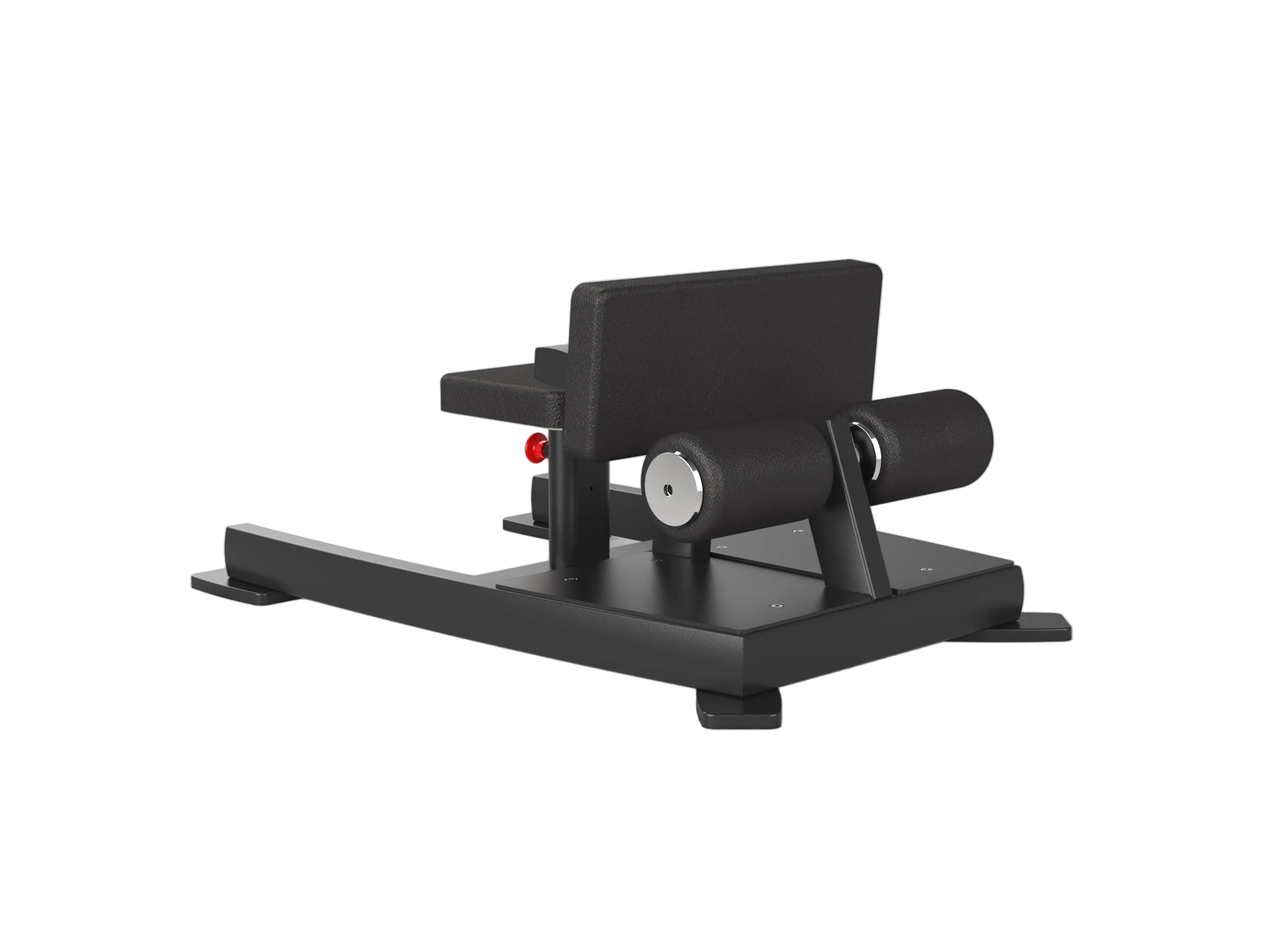 Sissy Squat / Sit-Up