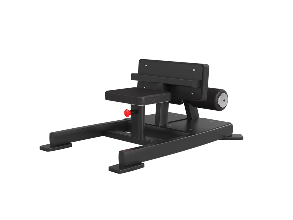 Sissy Squat / Sit-Up