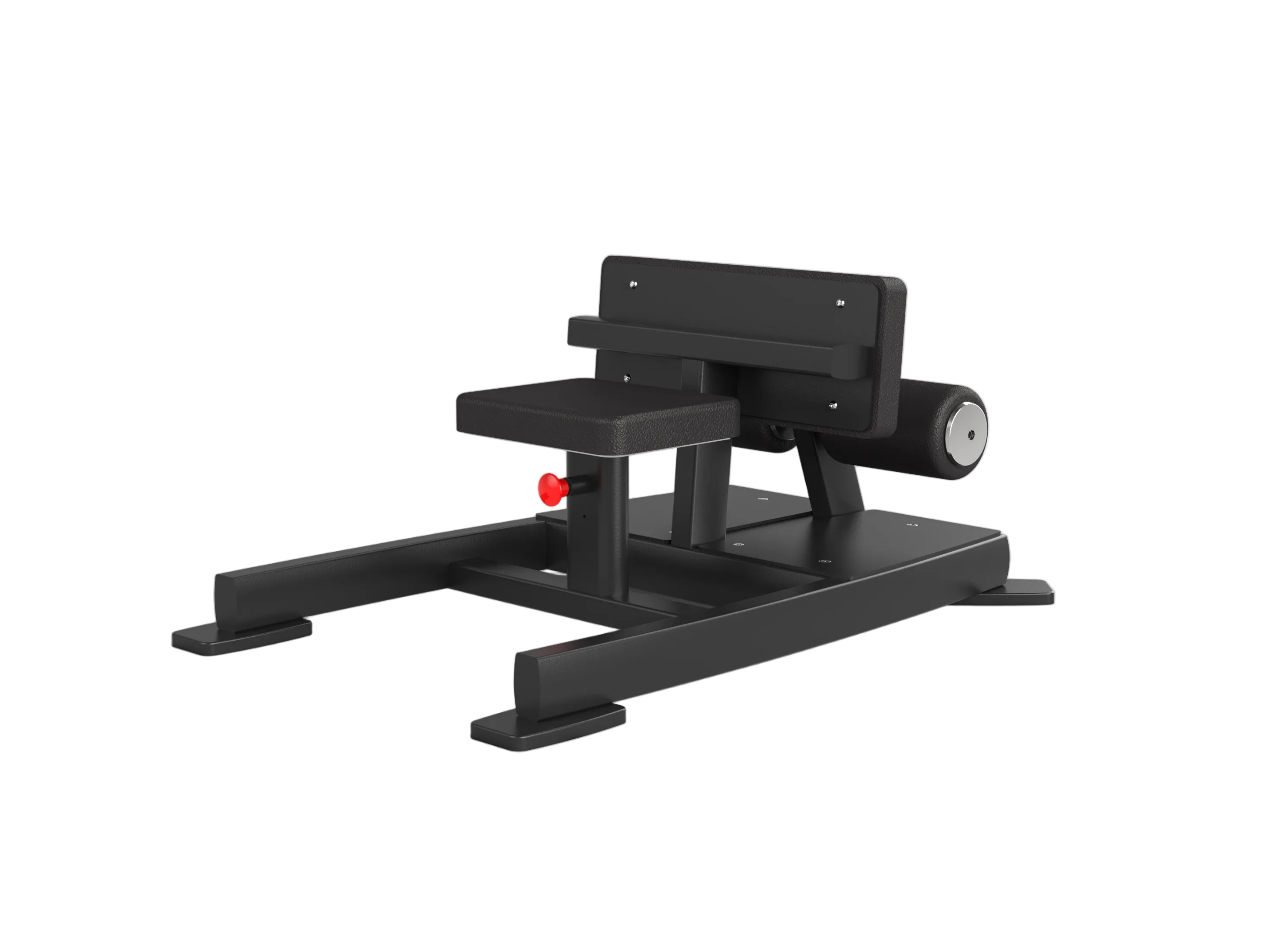 Sissy Squat / Sit-Up