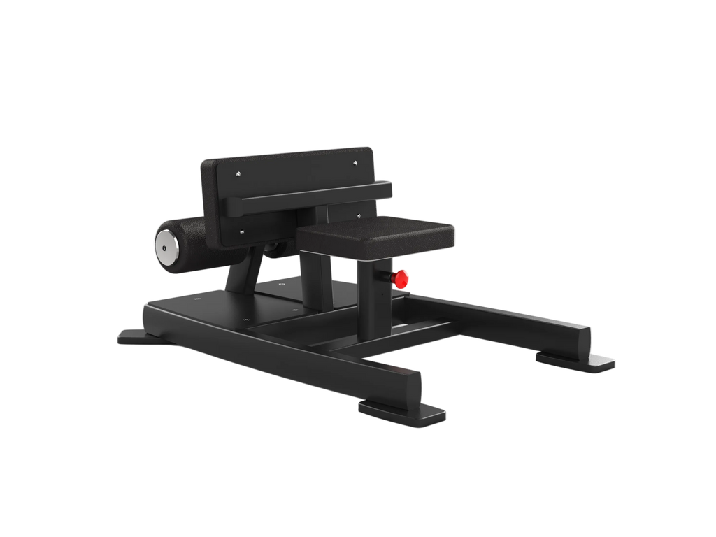 Sissy Squat / Sit-Up