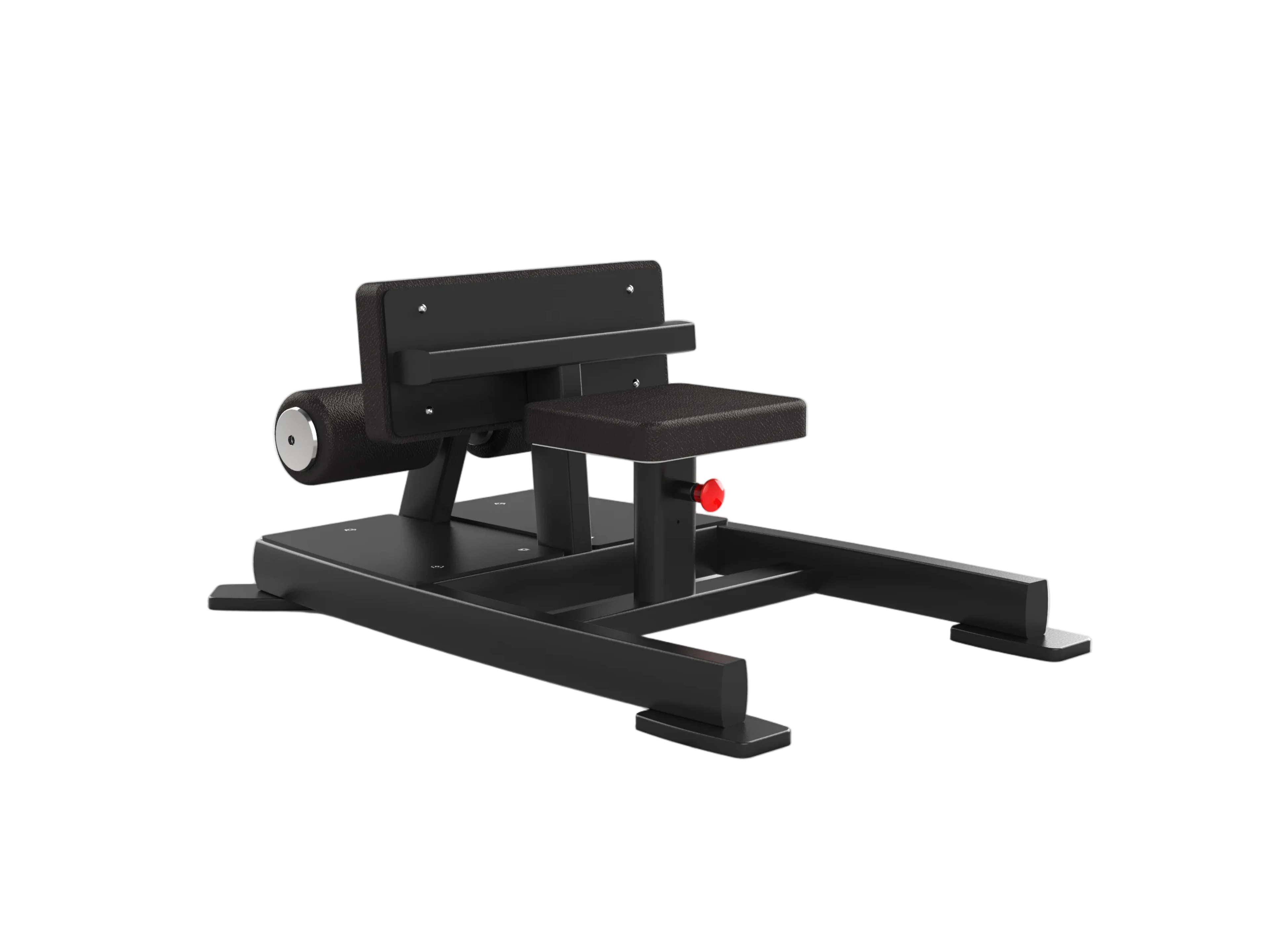 Sissy Squat / Sit-Up