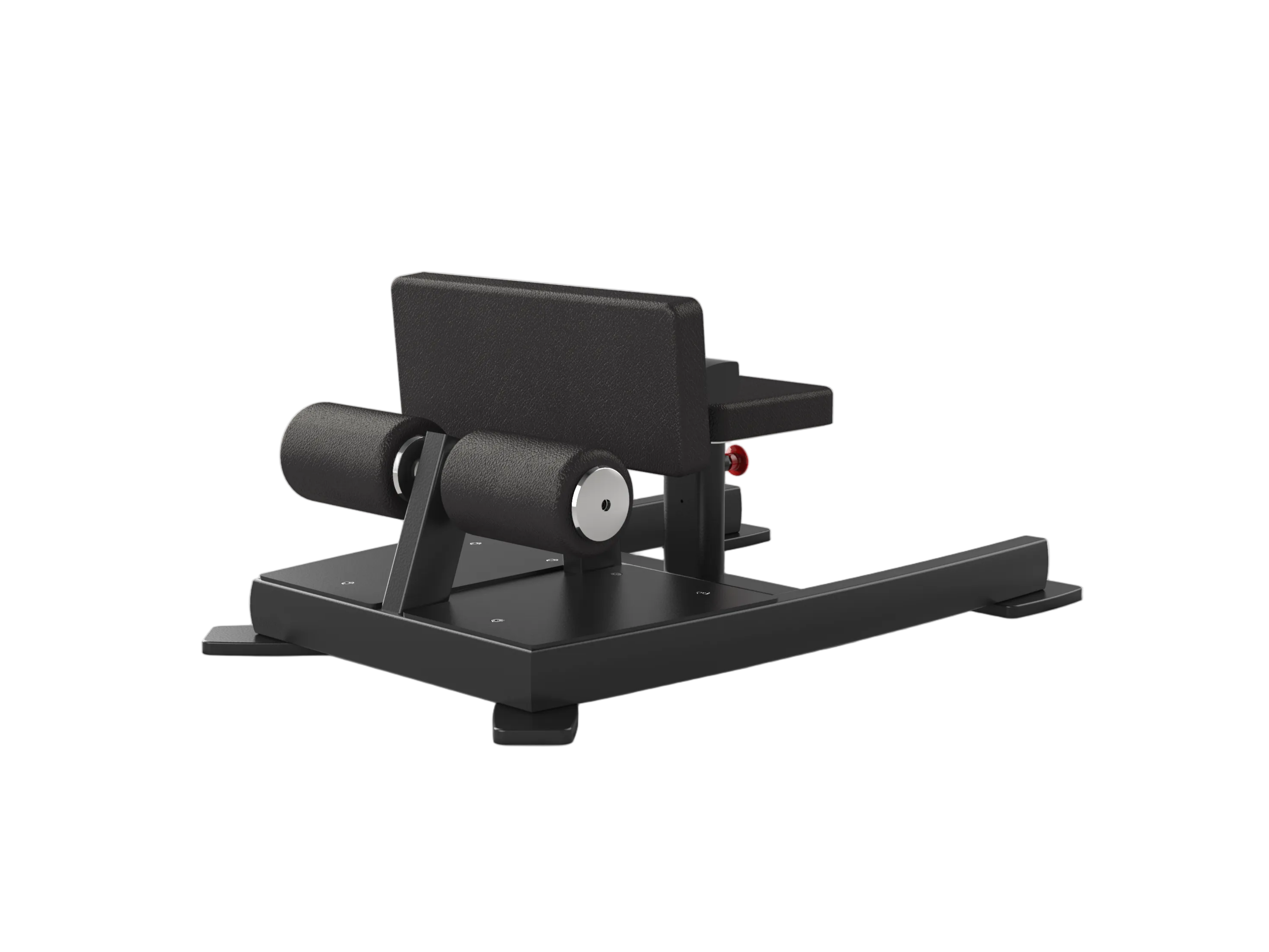 Sissy Squat / Sit-Up