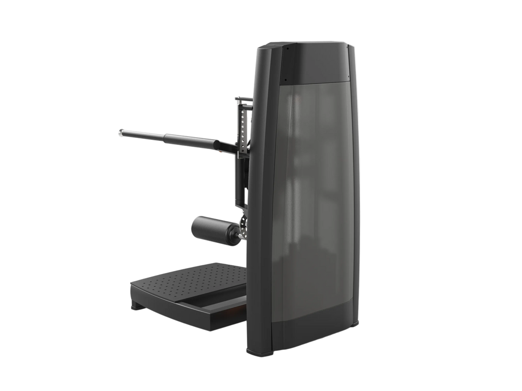 Multi Hip Machine