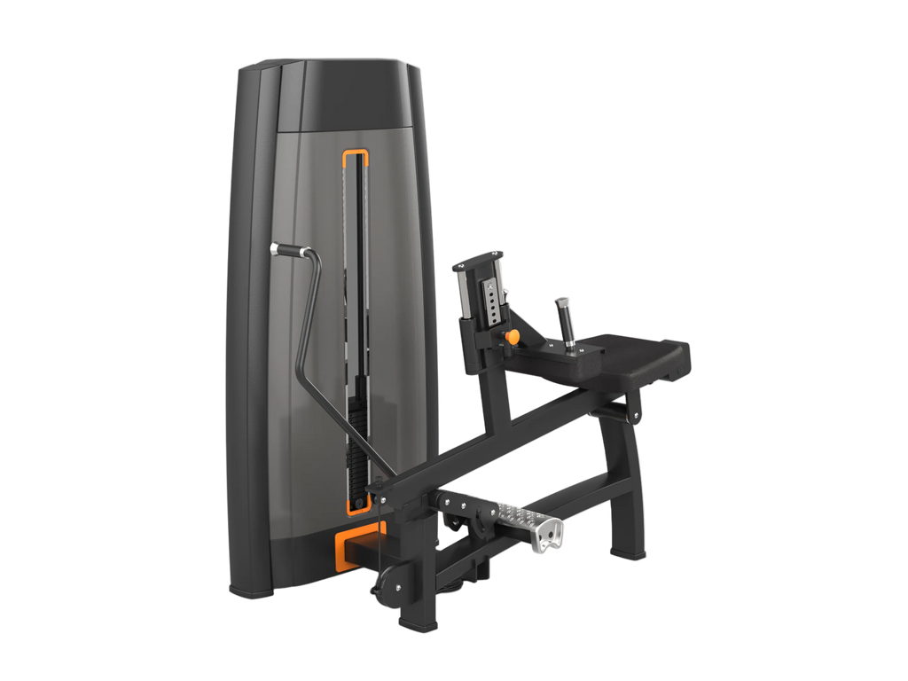 Seated Calf Machine