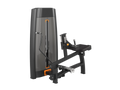 Seated Calf Machine