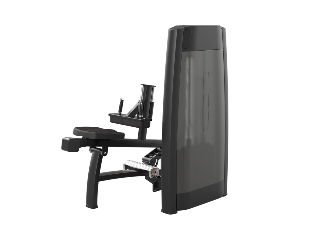 Seated Calf Machine