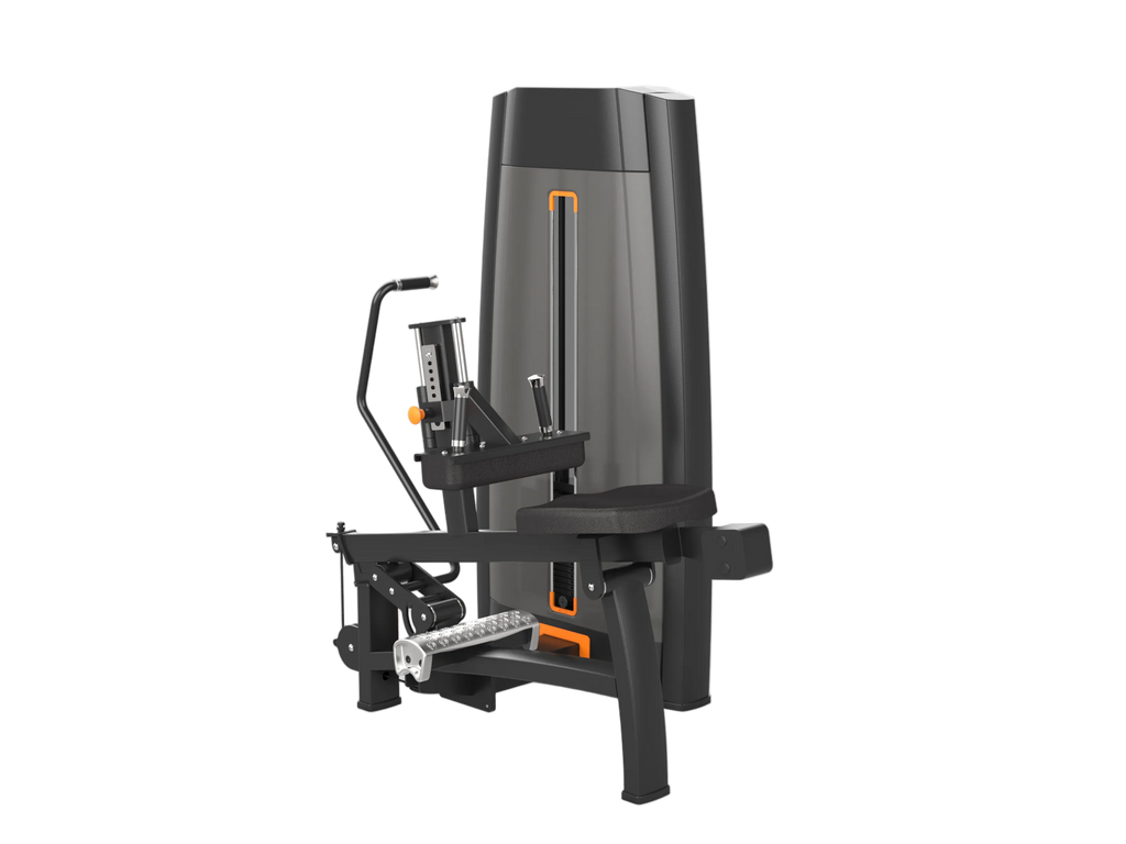 Seated Calf Machine