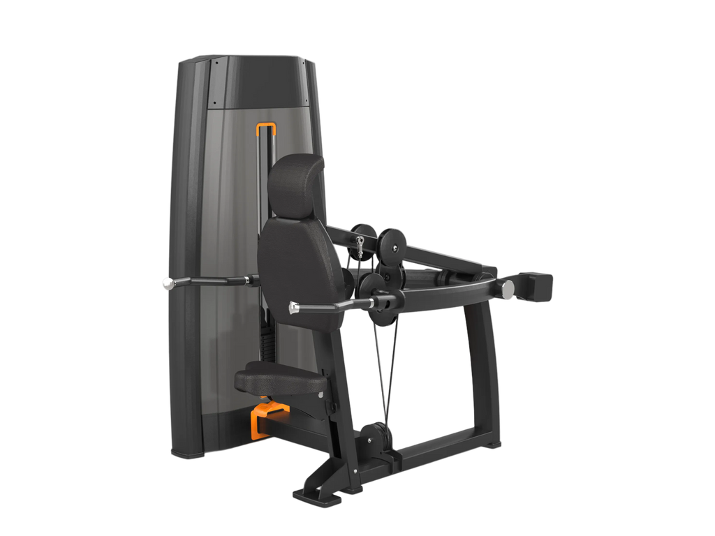 Triceps Dip Machine