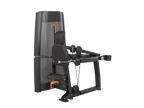 Triceps Dip Machine