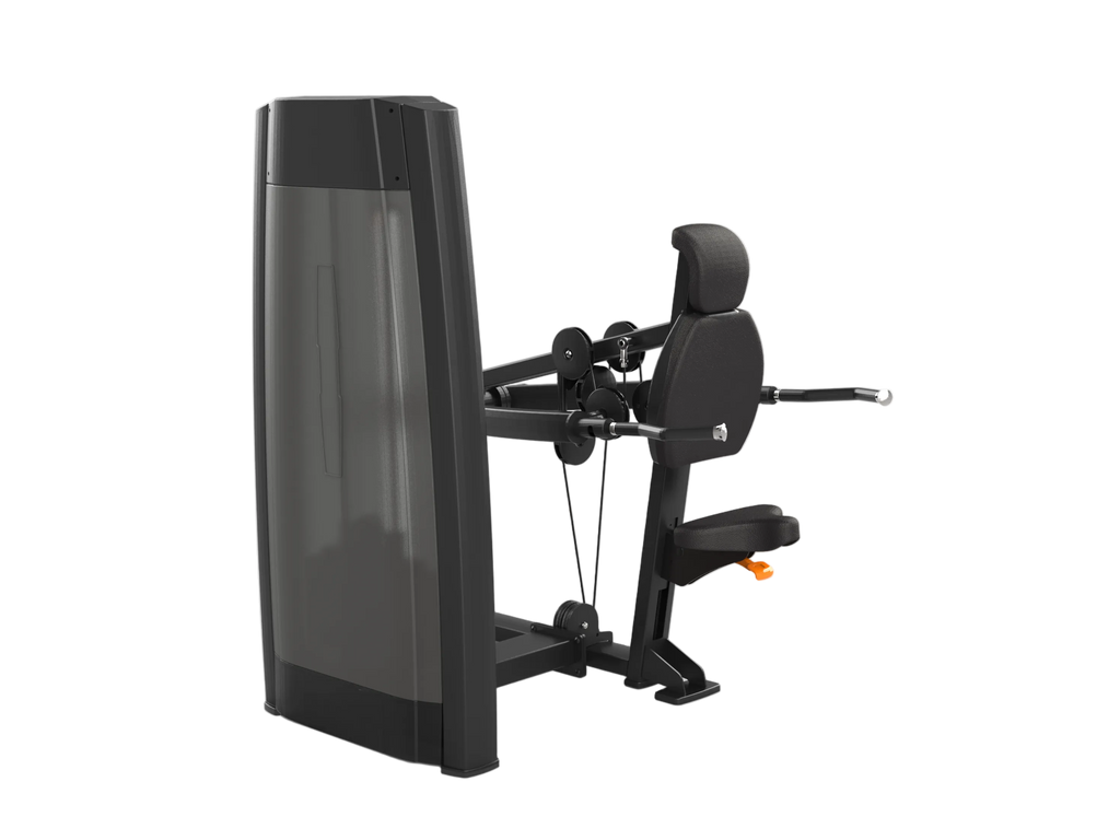 Triceps Dip Machine