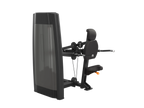 Triceps Dip Machine