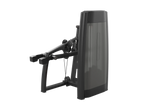 Triceps Dip Machine
