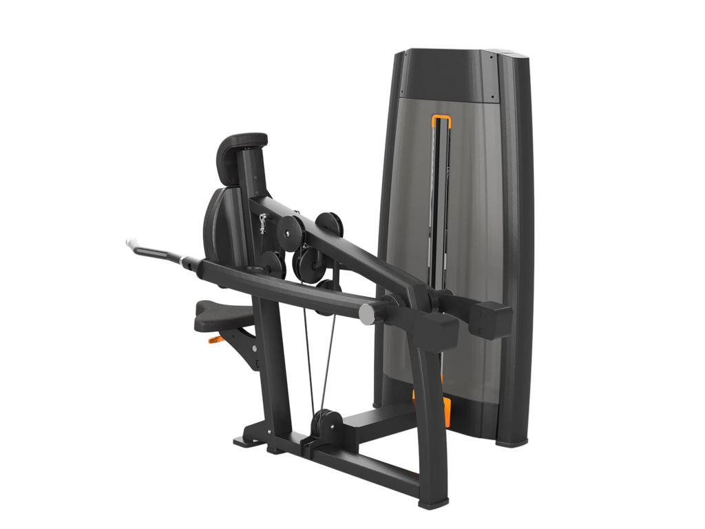 Triceps Dip Machine