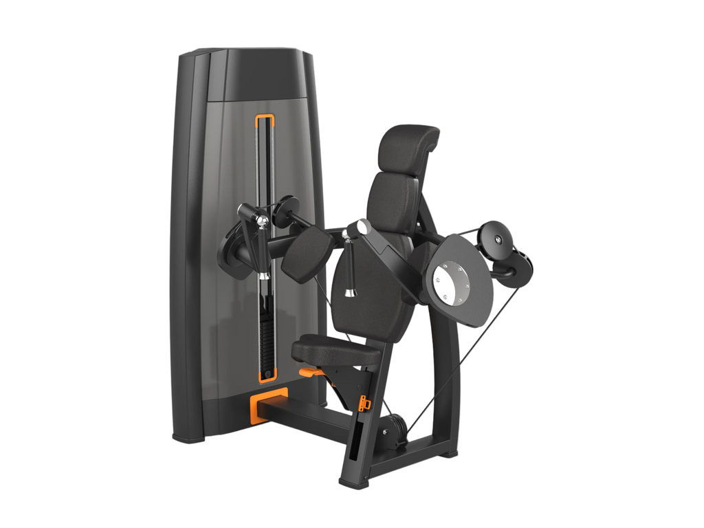 Triceps Extension Machine