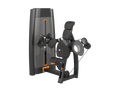 Triceps Extension Machine