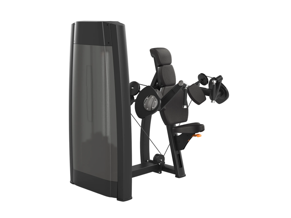 Triceps Extension Machine