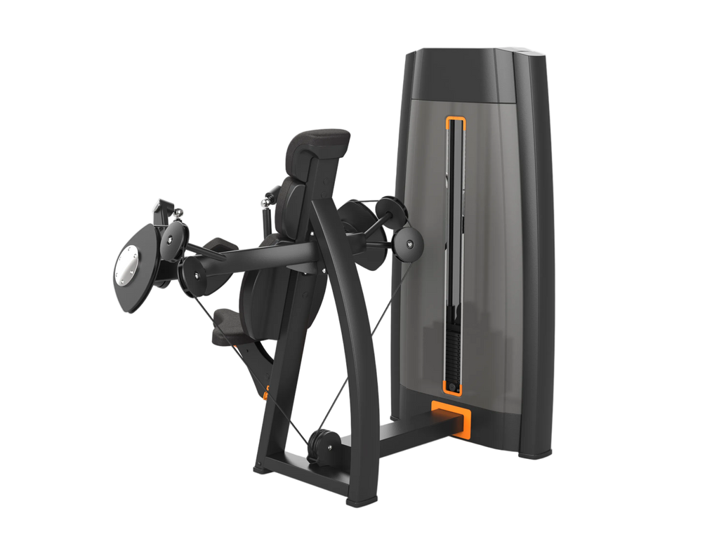 Triceps Extension Machine