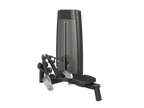 Low Row Machine