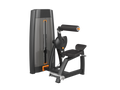 Back Extension Machine