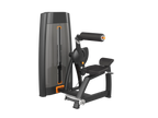 Back Extension Machine