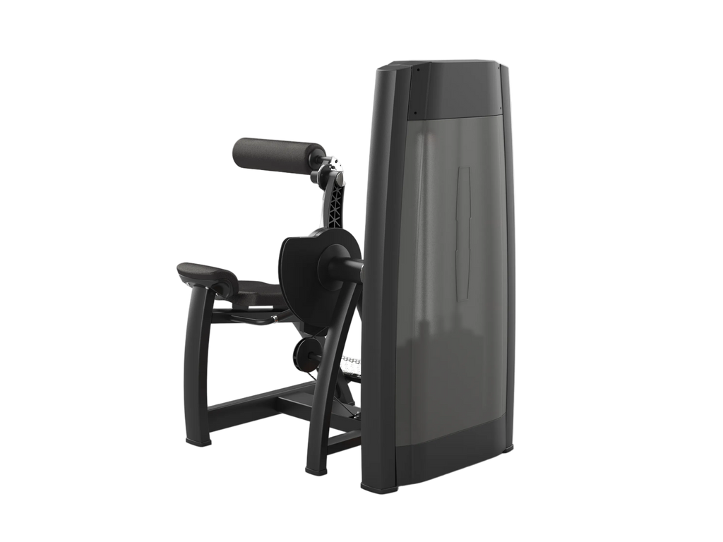 Back Extension Machine
