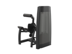 Back Extension Machine