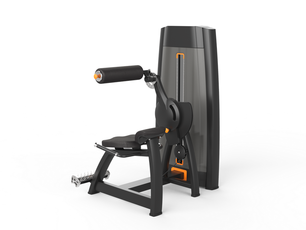 Back Extension Machine