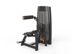 Back Extension Machine