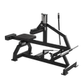 Seated Calf Raise