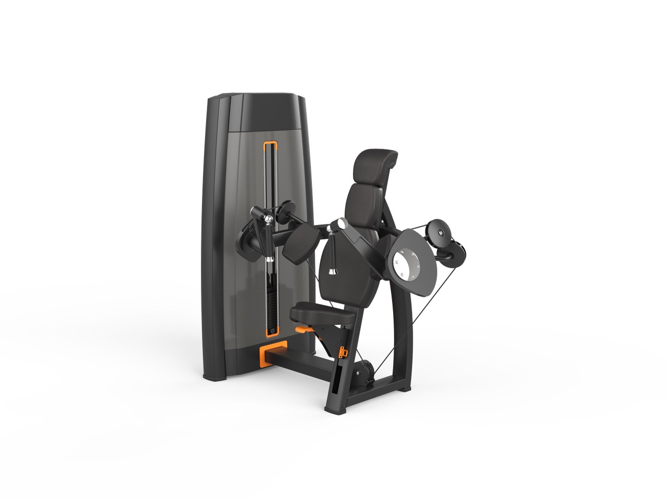 Triceps Extension