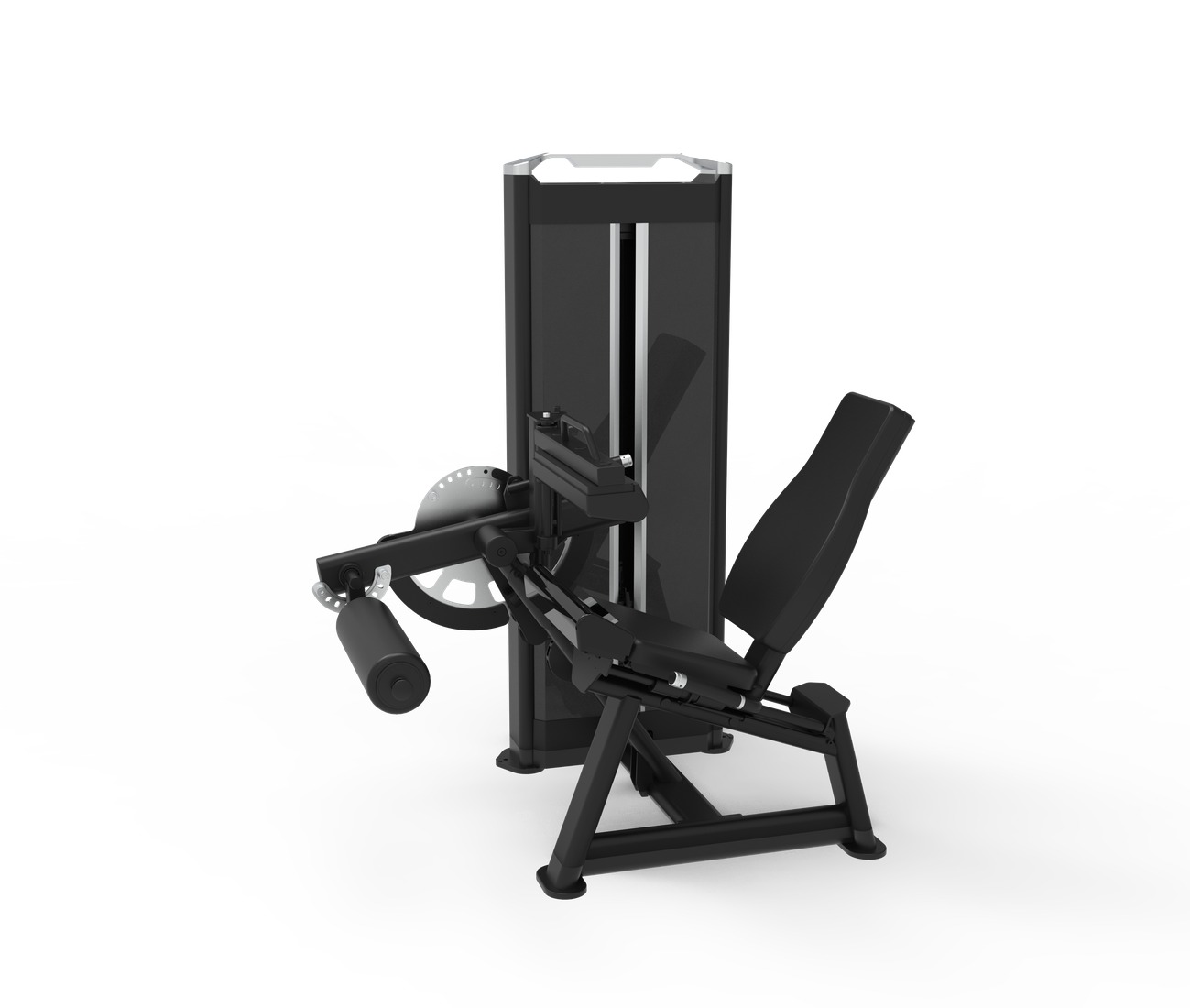 Leg Extension / Leg Curl