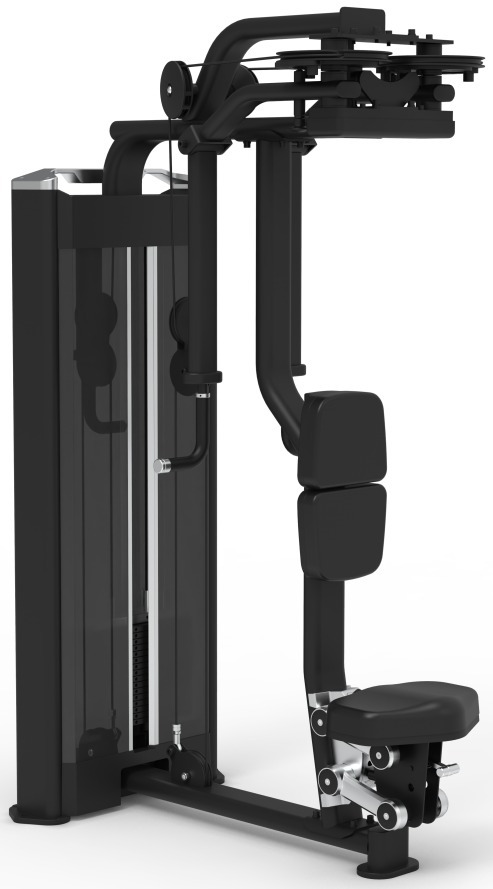 Pectoral Fly / Rear Deltoid